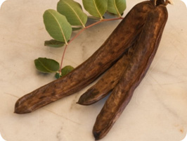 CAROB-A  - a natural ingredient for healthy and appetizing animal food